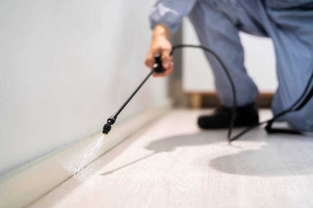 Licensed Rodent Control service in Middleport, OH - Nex Pest Control