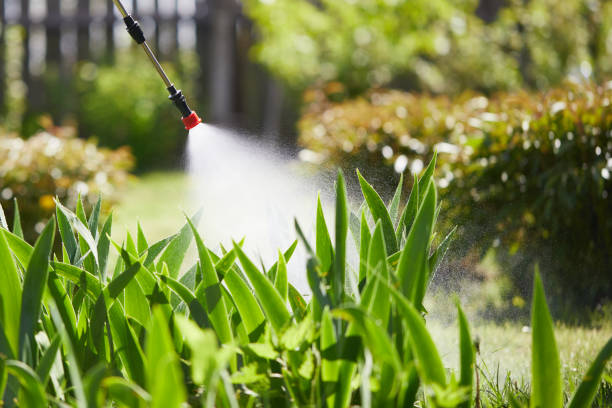 24/7 Emergency Rodent Control experts in Middleport, OH