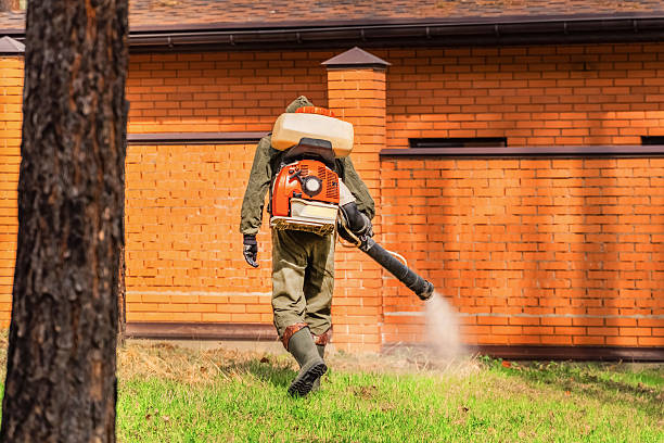 Trusted Bed Bug Control service in Middleport, OH - Nex Pest Control